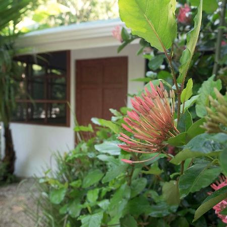 Jungle'S Edge Hotel Nosara Ngoại thất bức ảnh