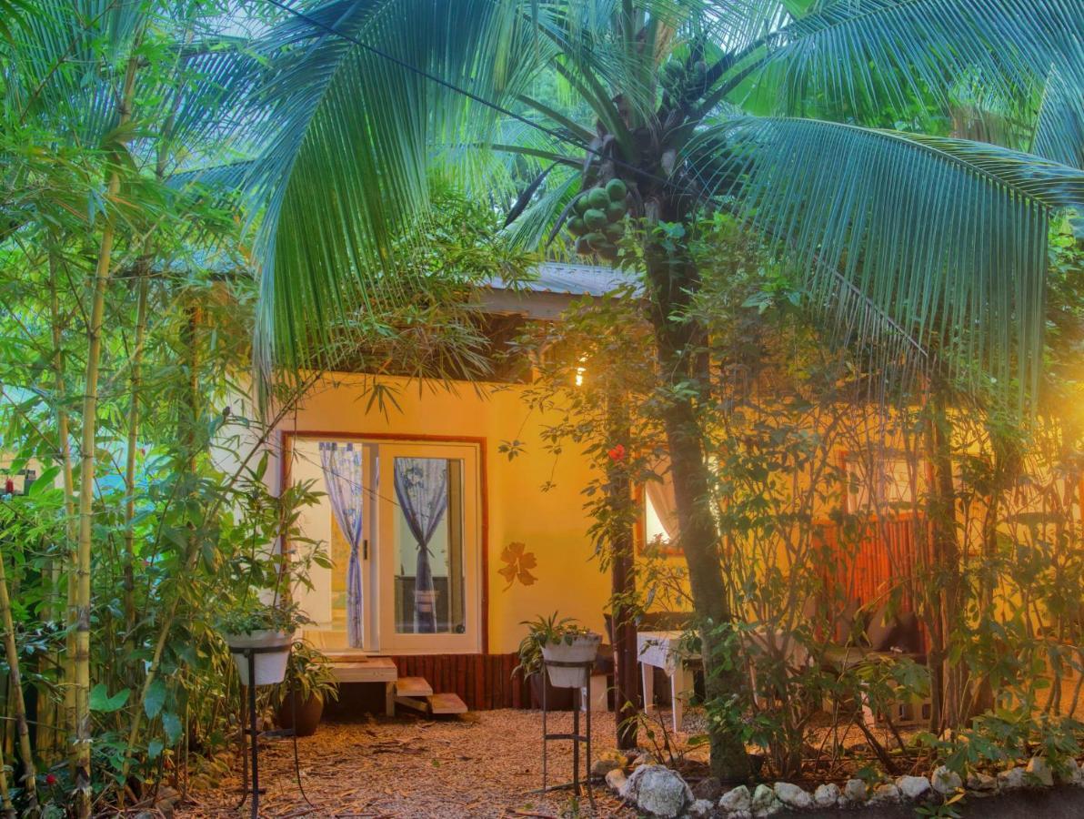 Jungle'S Edge Hotel Nosara Ngoại thất bức ảnh