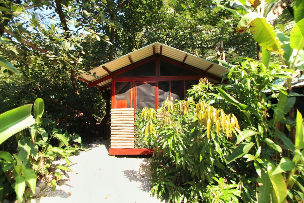 Jungle'S Edge Hotel Nosara Ngoại thất bức ảnh