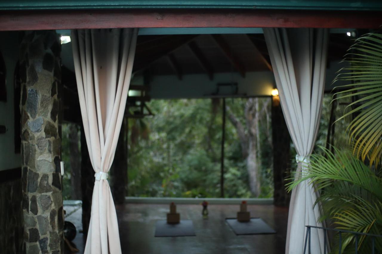 Jungle'S Edge Hotel Nosara Ngoại thất bức ảnh