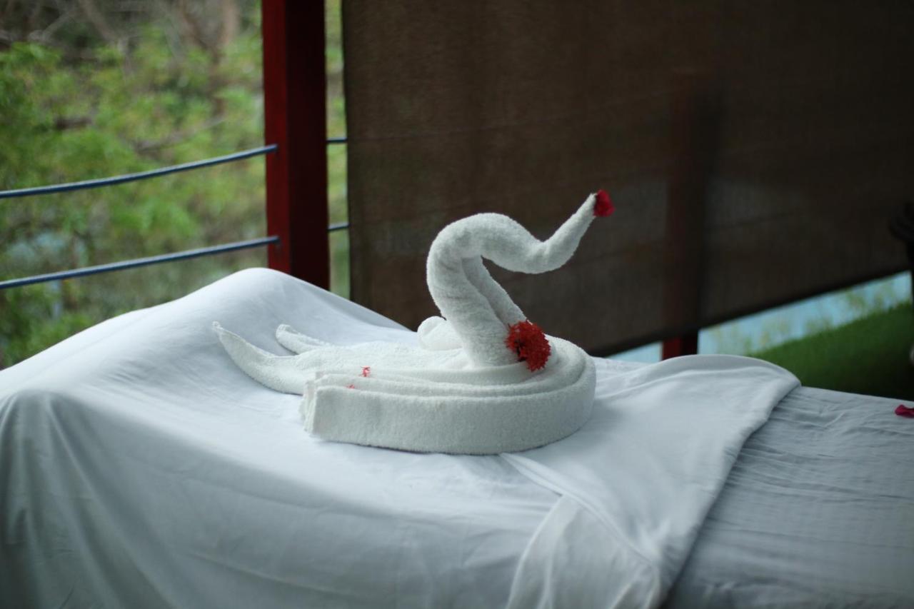 Jungle'S Edge Hotel Nosara Ngoại thất bức ảnh