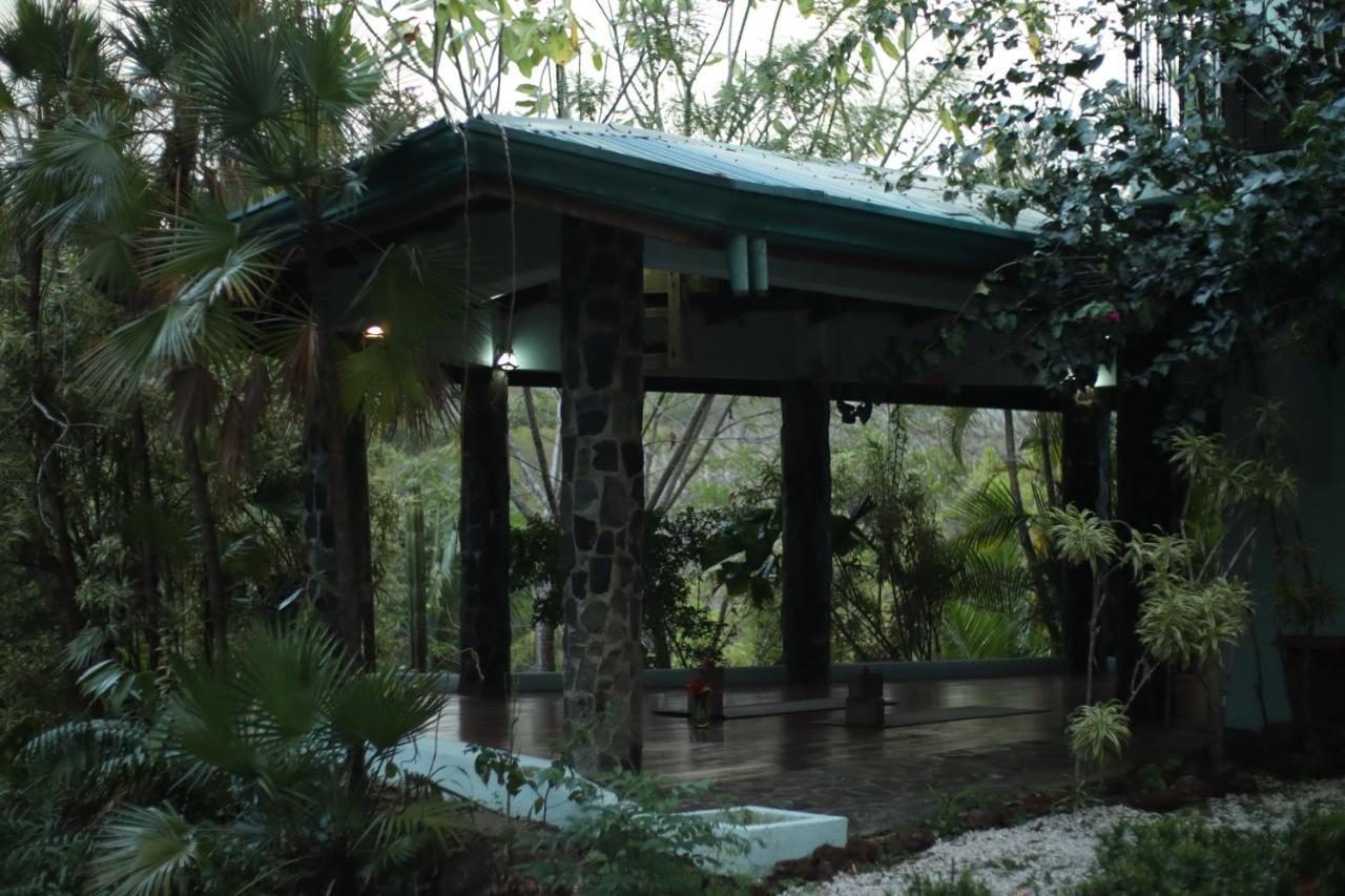 Jungle'S Edge Hotel Nosara Ngoại thất bức ảnh