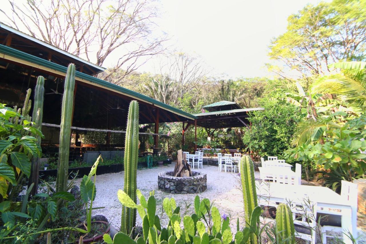 Jungle'S Edge Hotel Nosara Ngoại thất bức ảnh