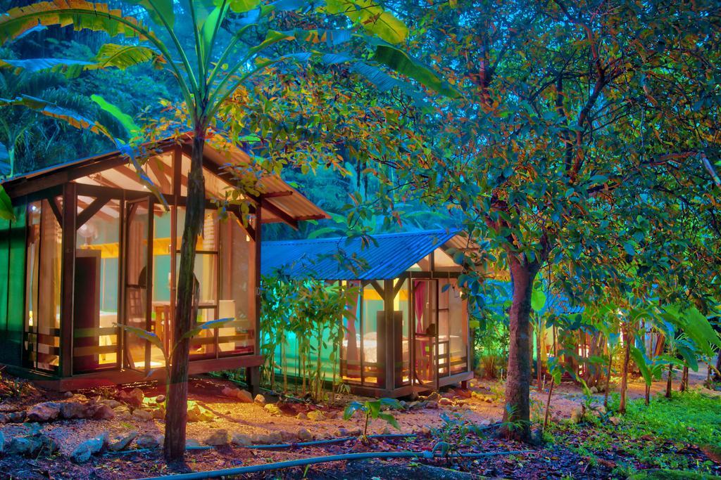 Jungle'S Edge Hotel Nosara Ngoại thất bức ảnh