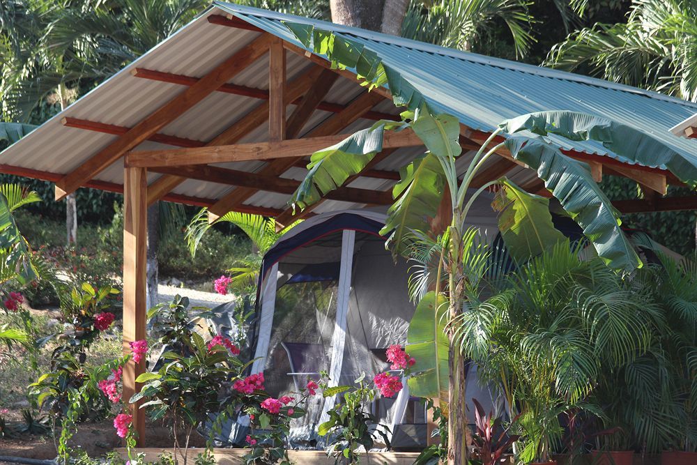 Jungle'S Edge Hotel Nosara Ngoại thất bức ảnh