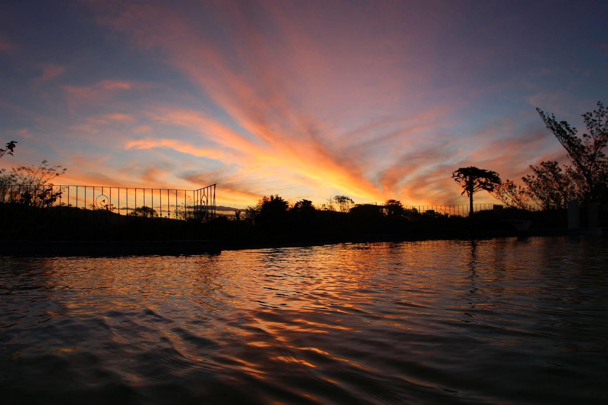 Jungle'S Edge Hotel Nosara Ngoại thất bức ảnh