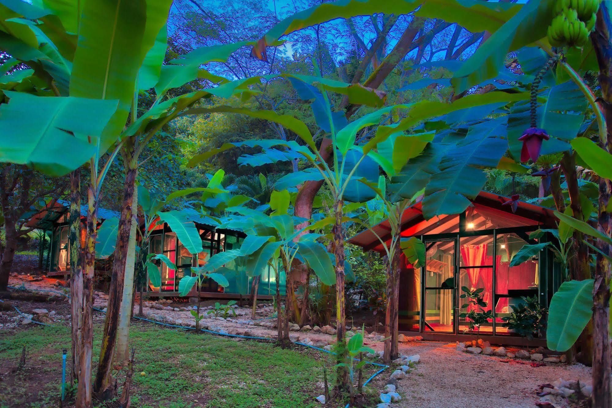 Jungle'S Edge Hotel Nosara Ngoại thất bức ảnh